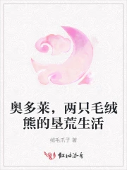 奥多莱，两只毛绒熊的垦荒生活