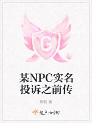 某NPC实名投诉之前传