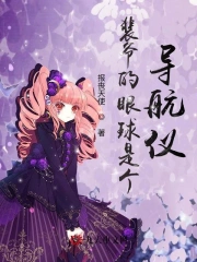 裴爷的眼球是个导航仪
