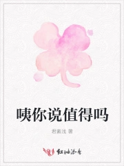 咦你说值得吗