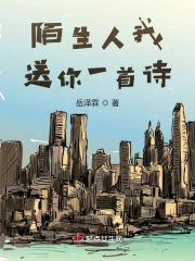 陌生人我送你一首诗