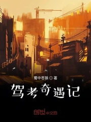 驾考奇遇记