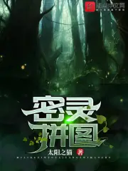 密灵拼图