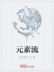 元素流