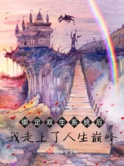绑定双生系统后我走上了人生巅峰