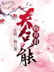 夫人只能娇养着