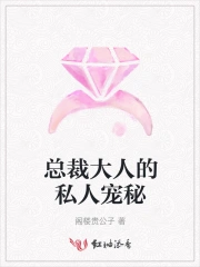 总裁大人的私人宠秘