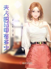 夫人的马甲有多少？
