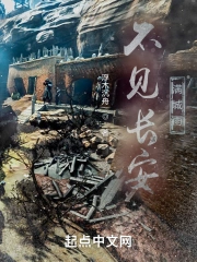 不见长安满城雨