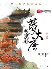 梦大唐之历桑古行