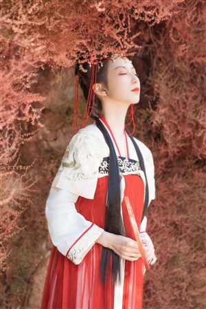 重生后我靠抢夺气运当上首富夫人
