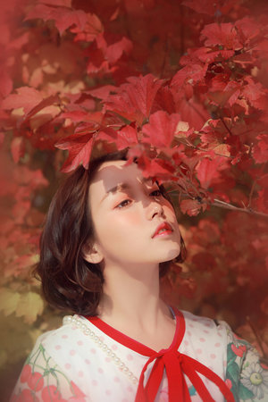 律师指南