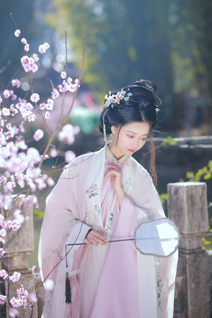 镇国至尊龙婿