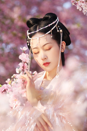 锦衣当权